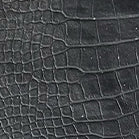 Black Croco