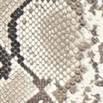 Python No. 2